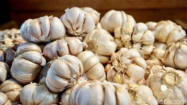 Bawang Putih Kating